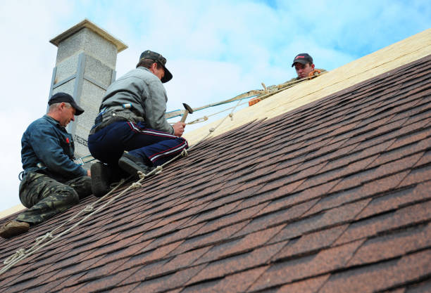 Quick and Trustworthy Emergency Roof Repair Services in Peshtigo, WI